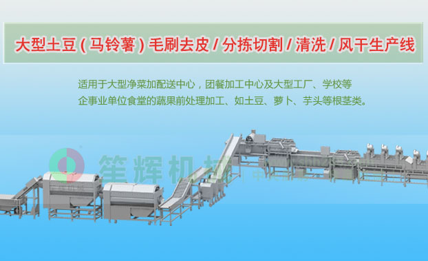 新龙连续式土豆去皮清洗切割风干生产线